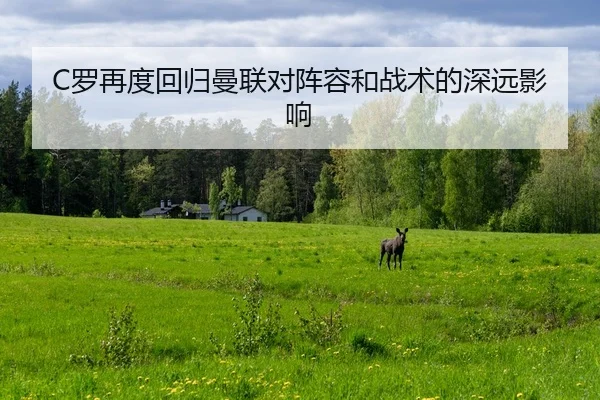 luo-zai-du-hui-gui-man-lian-dui-zhen-rong-he-zhan-shu-de-shen-yuan-ying-xiang-2-406.jpg